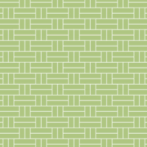 eclisse de rilsan   vert menthe